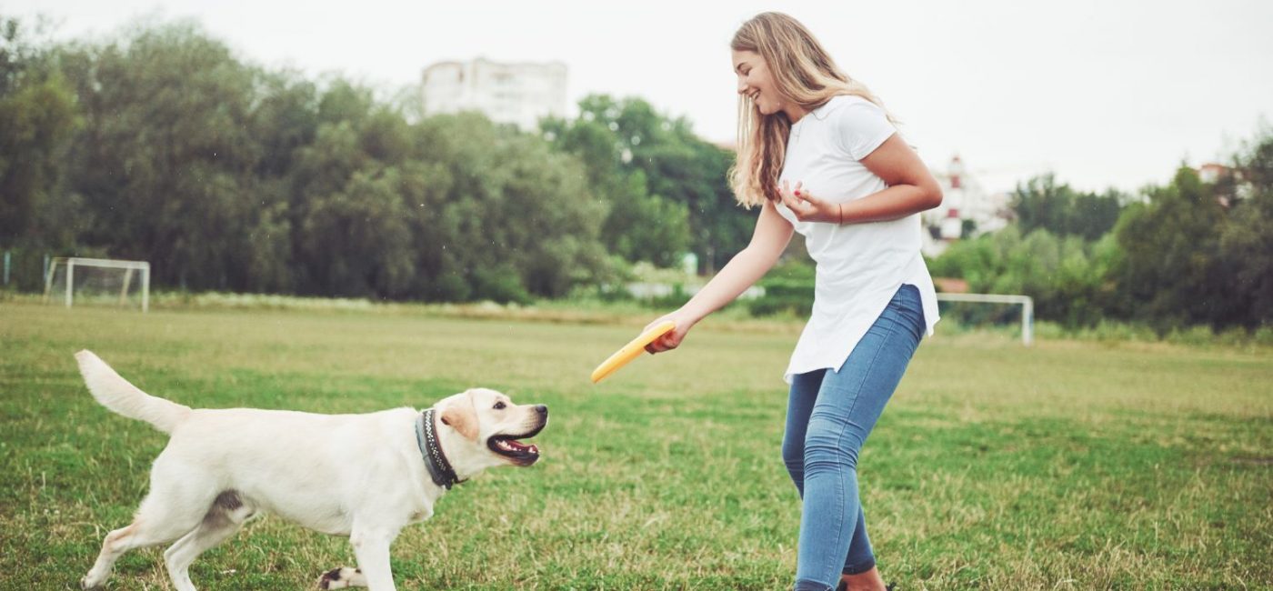 El «Diario» de tu Perro: Por Qué Olfatear en el Parque Vale Más que 10 Vueltas a la Manzana