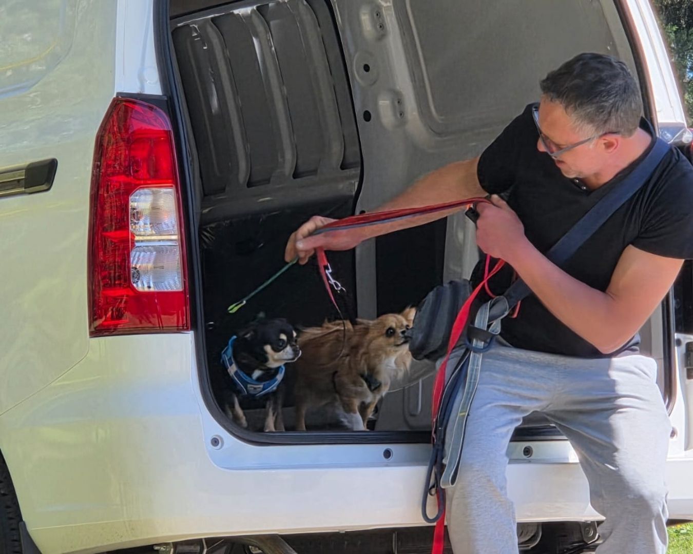 Trasnporte seguro - La Tribu Perrunos